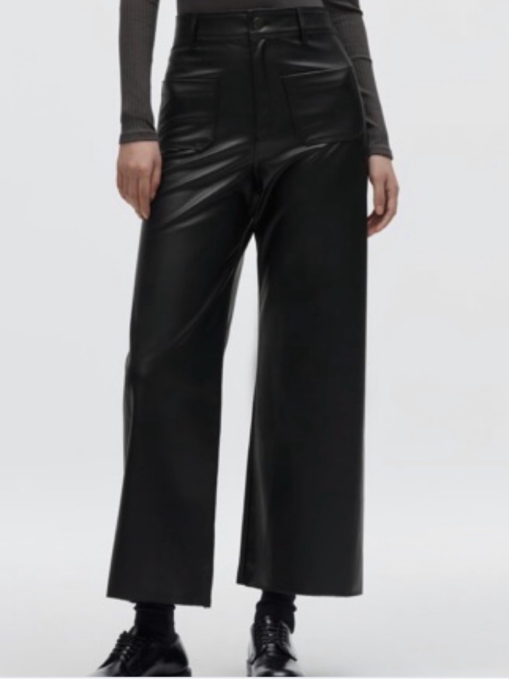 NWT Zara Marine Wide-Leg Faux Leather Pants